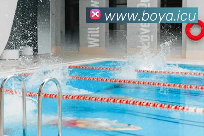 mksports官网登录入口平台生态图